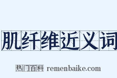 肌纤维近义词是什么意思的图片